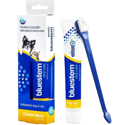 Bluestem Oral Care Chicken Flavour Dental Kit