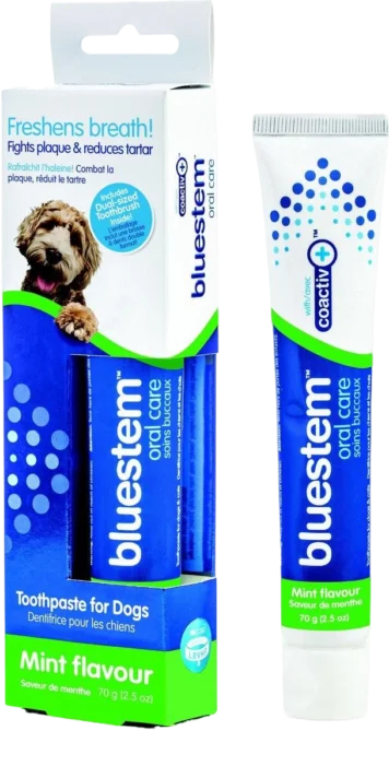 Bluestem Oral Care Mint Flavour Dental Kit