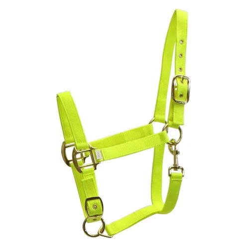 Fluro Halter