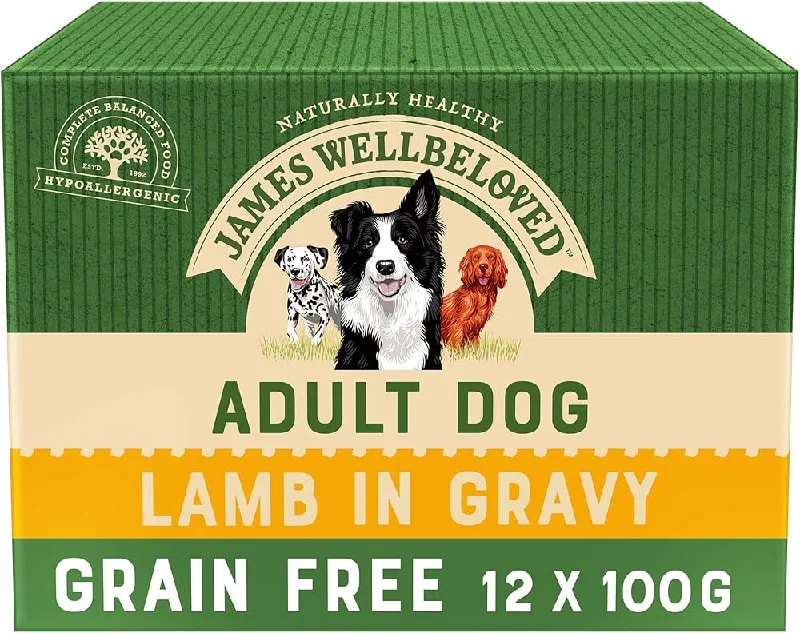 James Wellbeloved | Grain Free Dog Food Pouches | Lamb in Gravy - 100g Pouch Bulk Packs