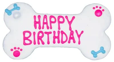 Large Birthday Bone Treat Box in 2 Colors