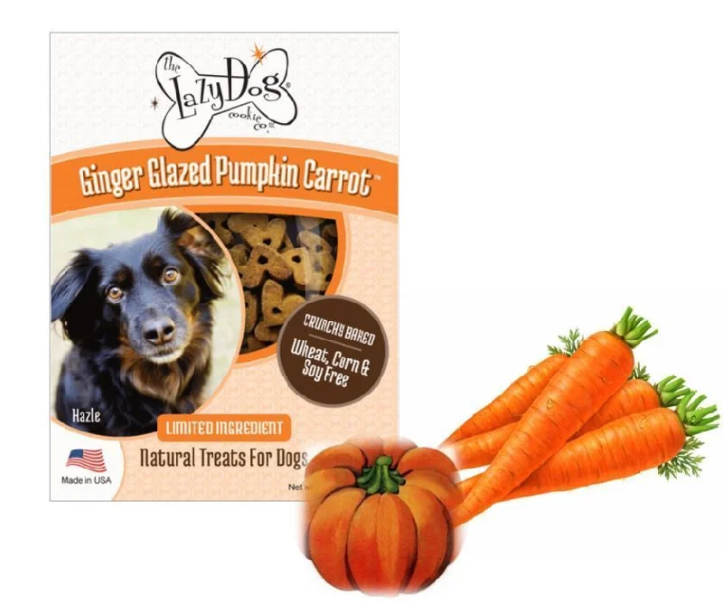 Lazy Dog Ginger Glazed Pumpkin Carrot 14oz