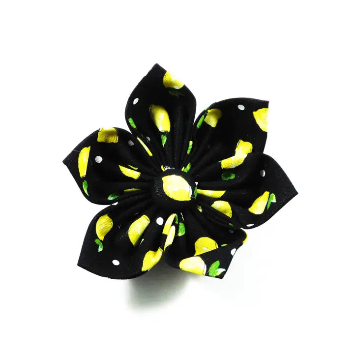 Lemons on Black Dog Collar Flower