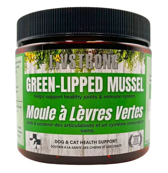 Green Lipped Mussels