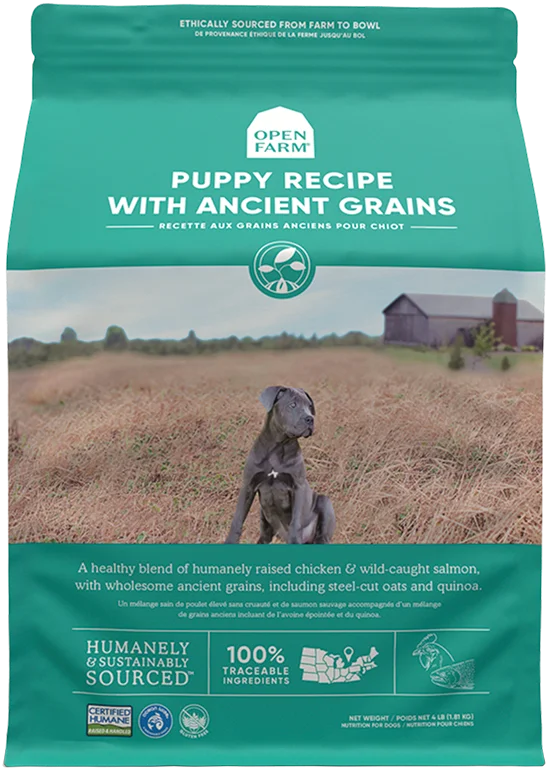 Ancient Grains: High-Protein Puppy Recipe