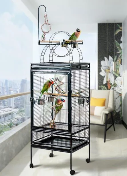 PARROT CAGE SIZE 61X56X173H