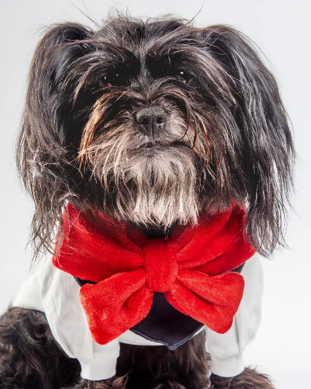 Red Velour Bow Dog Bandana