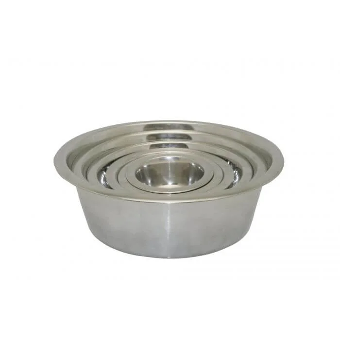 Stainless Steel Bowl